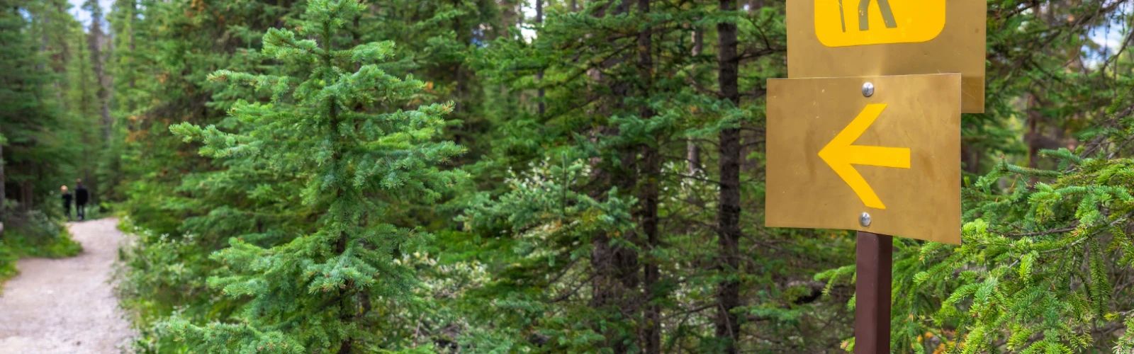 Outdoor Adventures in Anderson, United States: Parks, Trails & Scenic Escapes