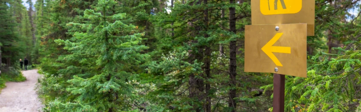 Outdoor Adventures in Anderson, United States: Parks, Trails & Scenic Escapes